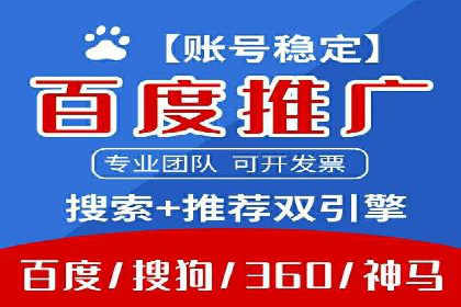 SEM推广优化策略：成功案例解析