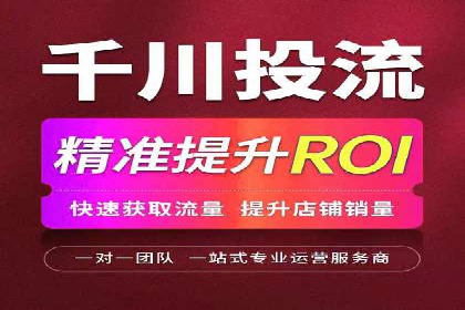 顶级SEM服务公司案例解析